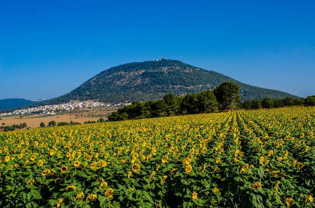 Galilee Best Location 'En Dor Exterior foto